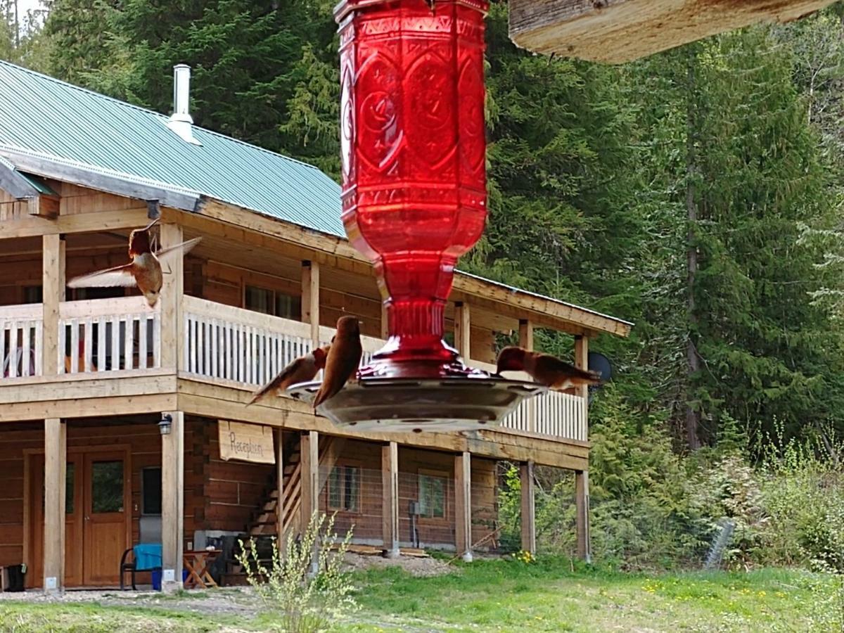 Вилла Wolfwood Guest Ranch Клируотер Экстерьер фото